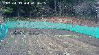 kannonmori-20250409093017.jpg