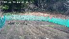kannonmori-20250409094018.jpg