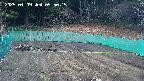 kannonmori-20250409095017.jpg