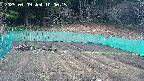 kannonmori-20250409100017.jpg