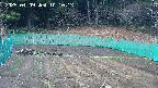 kannonmori-20250409101015.jpg