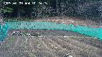 kannonmori-20250409102017.jpg
