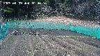 kannonmori-20250409103018.jpg