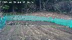 kannonmori-20250409104018.jpg