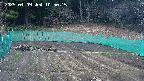 kannonmori-20250409105017.jpg