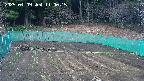 kannonmori-20250409110017.jpg