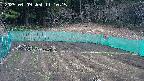 kannonmori-20250409111017.jpg