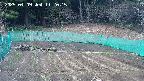 kannonmori-20250409112017.jpg