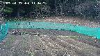 kannonmori-20250409113017.jpg