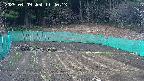 kannonmori-20250409114015.jpg