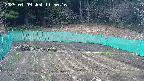 kannonmori-20250409115018.jpg