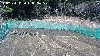 kannonmori-20250409120018.jpg