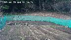 kannonmori-20250409121017.jpg