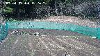 kannonmori-20250409122017.jpg