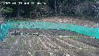 kannonmori-20250409123018.jpg
