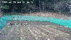 kannonmori-20250409124017.jpg