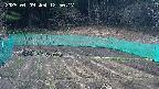 kannonmori-20250409125019.jpg