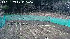 kannonmori-20250409130018.jpg
