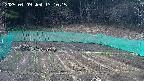 kannonmori-20250409131017.jpg