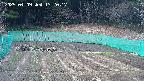 kannonmori-20250409132019.jpg