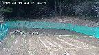 kannonmori-20250409133016.jpg