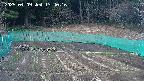 kannonmori-20250409134018.jpg