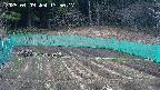 kannonmori-20250409135019.jpg