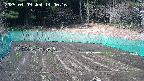 kannonmori-20250409140018.jpg