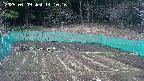 kannonmori-20250409141018.jpg