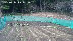 kannonmori-20250409142018.jpg