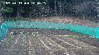 kannonmori-20250409143016.jpg