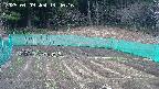 kannonmori-20250409144017.jpg
