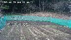 kannonmori-20250409145017.jpg