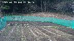kannonmori-20250409150017.jpg