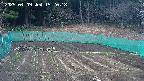 kannonmori-20250409152018.jpg