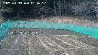 kannonmori-20250409154018.jpg