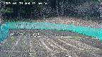 kannonmori-20250409155017.jpg