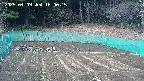 kannonmori-20250409160016.jpg
