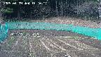 kannonmori-20250409162018.jpg