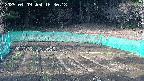 kannonmori-20250409163019.jpg