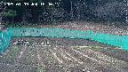 kannonmori-20250409164018.jpg
