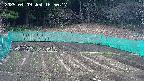 kannonmori-20250409165018.jpg