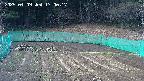 kannonmori-20250409170018.jpg