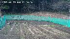 kannonmori-20250409171017.jpg