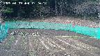 kannonmori-20250409172019.jpg