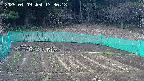 kannonmori-20250409173019.jpg