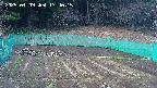 kannonmori-20250409174016.jpg