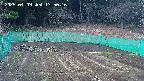 kannonmori-20250409175017.jpg