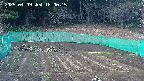 kannonmori-20250409180016.jpg