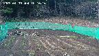 kannonmori-20250409181017.jpg